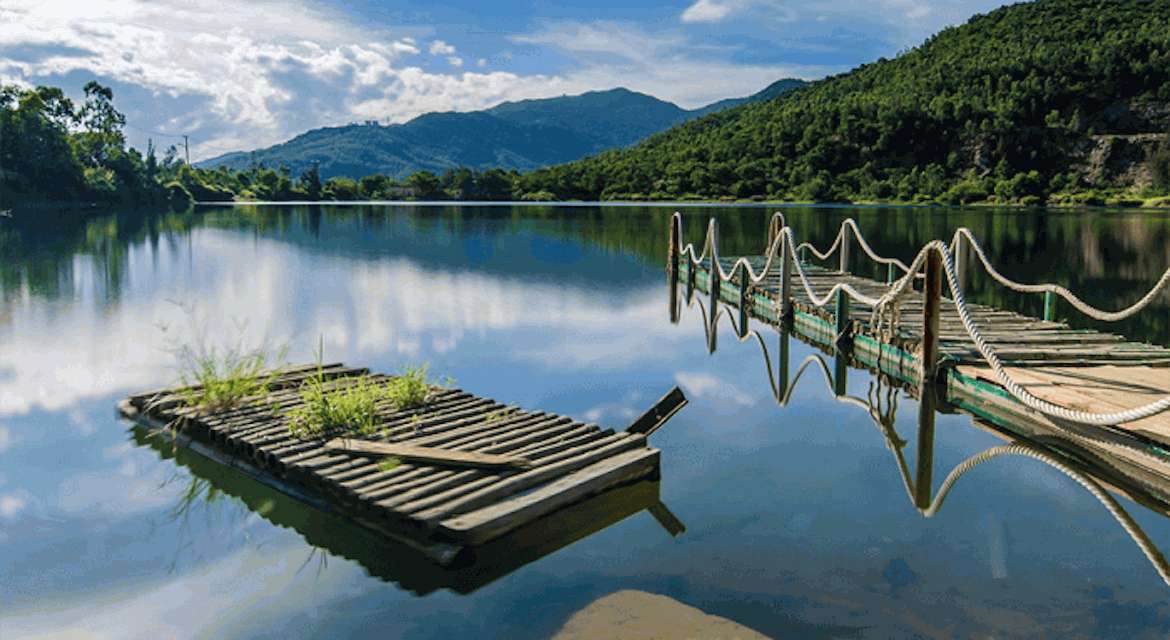 Khám Phá Sơn Trà – Viên Ngọc Xanh Giữa Lòng Đà Nẵng