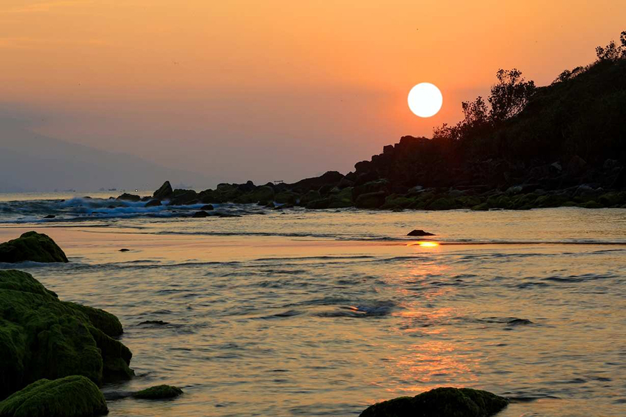 Khu cắm trại bãi Cát Vàng: Hành trình chạm vào thiên nhiên nguyên bản giữa lòng Đà Nẵng