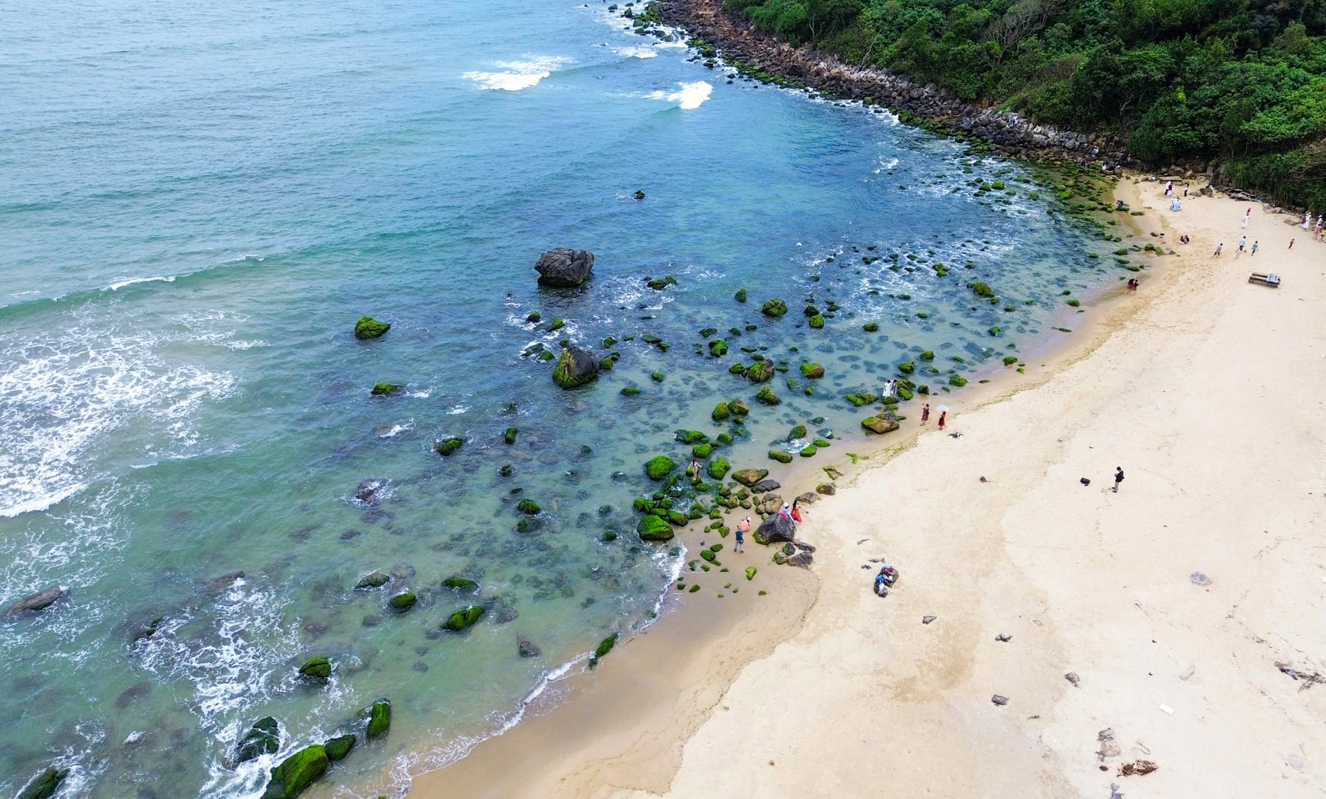 Rạn Nam Ô: Vẻ Đẹp Hoang Sơ Của Biển Đá Giữa Lòng Đà Nẵng