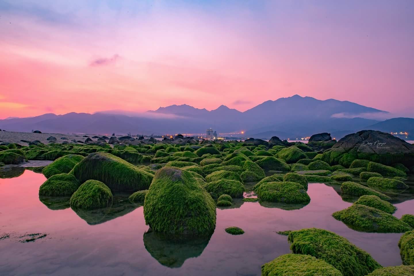 Rạn Nam Ô: Vẻ Đẹp Hoang Sơ Của Biển Đá Giữa Lòng Đà Nẵng