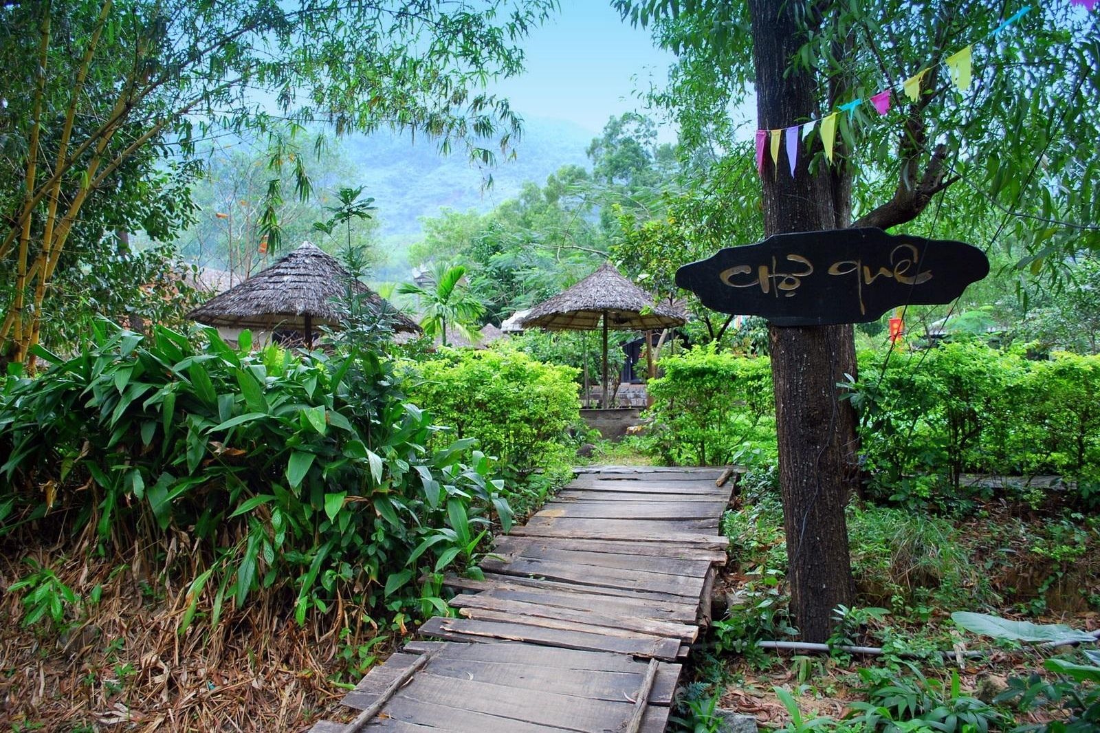 Suối Lương: Bản Giao Hưởng Xanh Giữa Núi Rừng Và Biển Trời Đà Nẵng