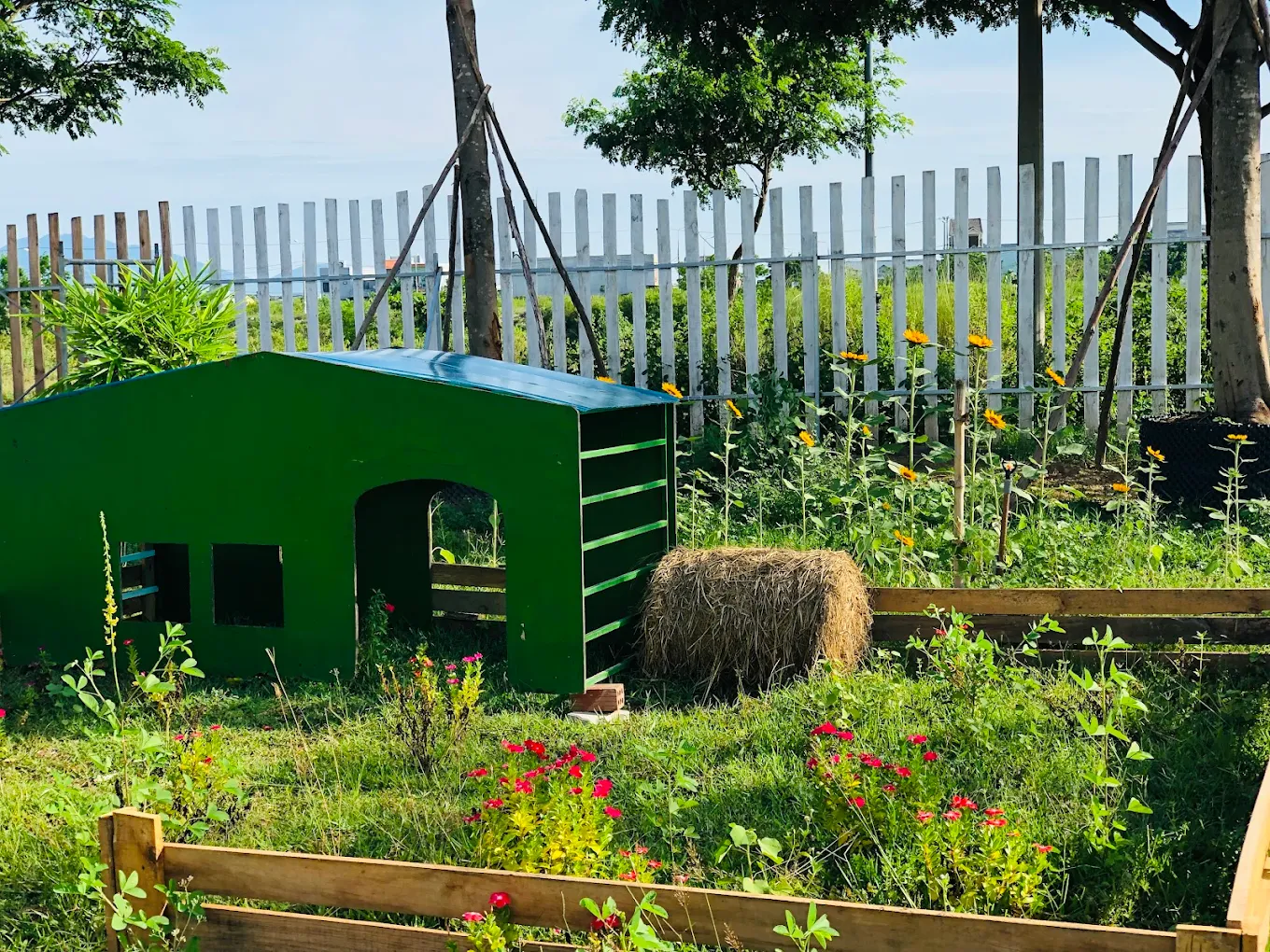 Top 15 Quán Cafe Cho Trẻ Em Ở Đà Nẵng Gợi Ý Điểm Hẹn Gia Đình Dịu Dàng Giữa Thành Phố Biển