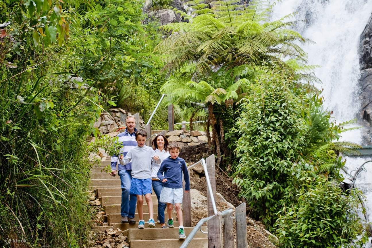 Yên Retreat: Hành Trình Tìm Về Sự Bình Yên Giữa Thiên Nhiên Nguyên Bản