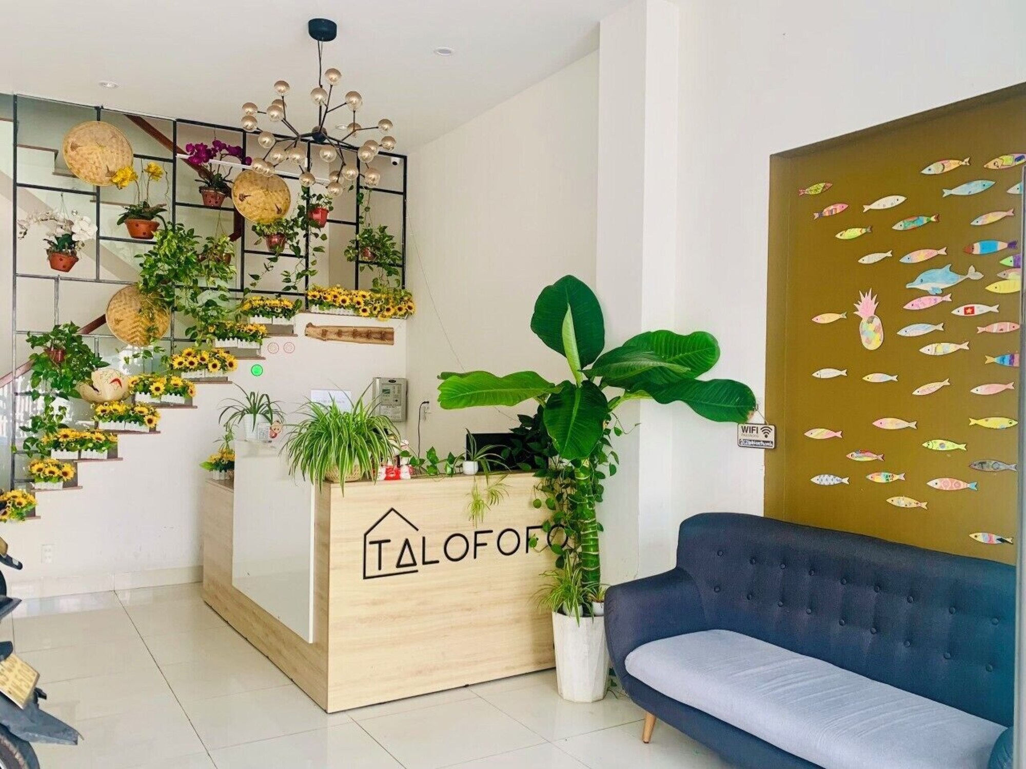 Talofofo Hostel – Review Chi Tiết Không Gian Lưu Trú, Tiện Nghi Và Trải Nghiệm Thực Tế Tại Đà Nẵng